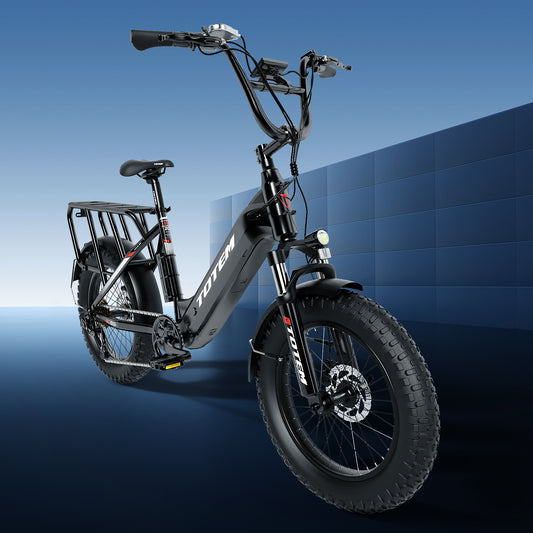 QNUT Fat Tire Cargo E-bike for Adults - Hauler